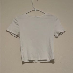 Divided cropped t shirt